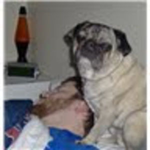 Meet your Posher, Erik